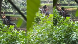 Delhi Teen Couple In Park Viral Xx Video – Videos Xxx